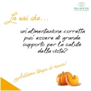 zucca-180x180 <p style="text-align: justify; font-size: 38px; font-family: cursive, sans-serif; font-weight: 100; line-height: 35px; color: #009900; ">Lo sai che..la zucca</p>